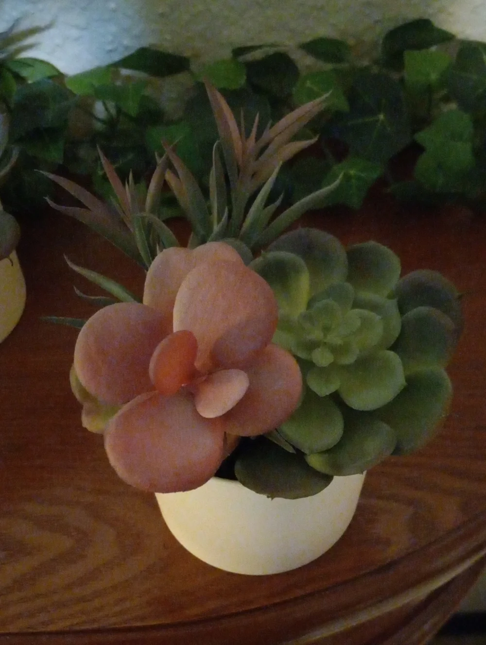 Artifiicial succulent  set